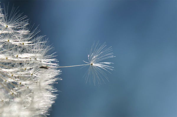 Сергей Шмелёв