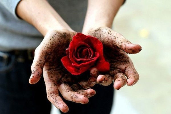 Людмила Федорченко