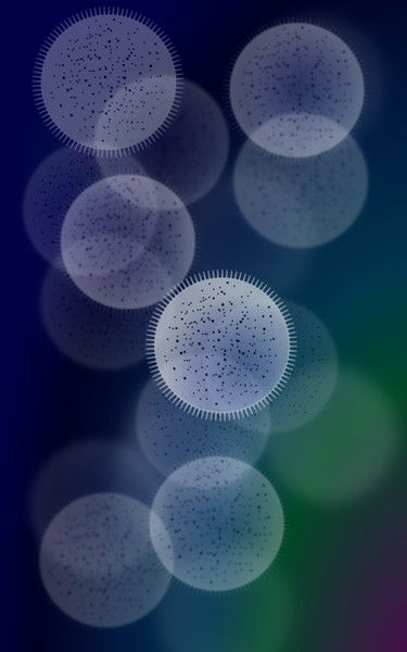 Татьяна Шаламова