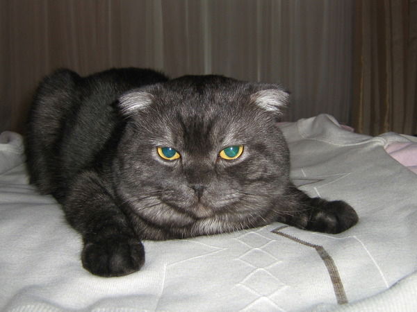 Ирина Калинина