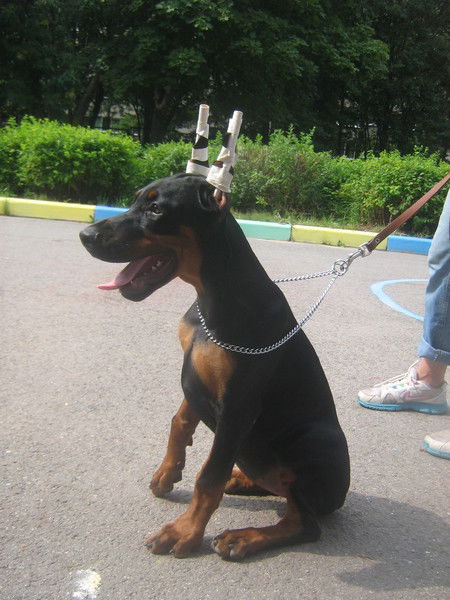 Екатерина Курылева