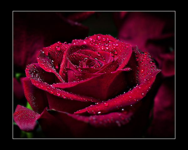 Дилором Атабекова