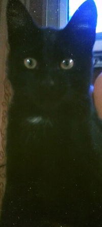 Дарья Алексеева