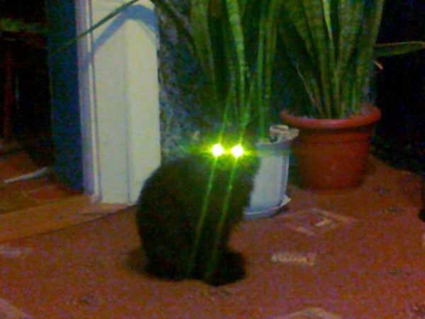 Александр Сластунов