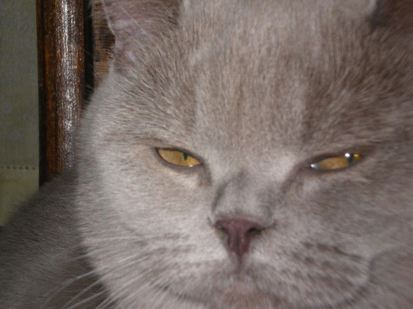 Юридический Альянс Юридический Альянс