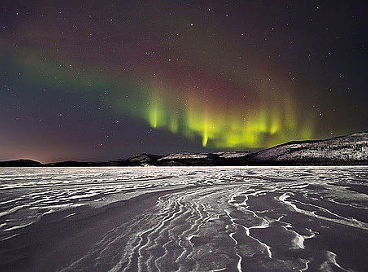 Коля Герасименко