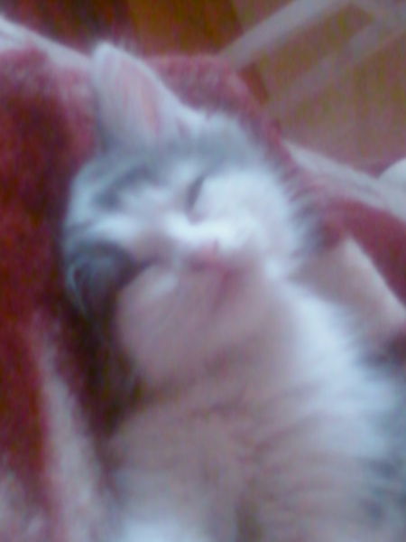 Танюшка Буданцева