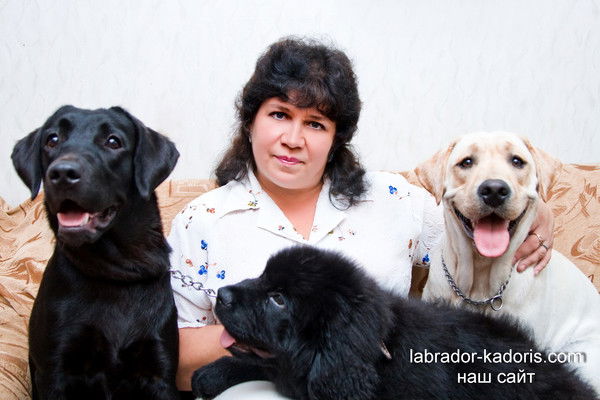 Мотылёк Лечю На Свет