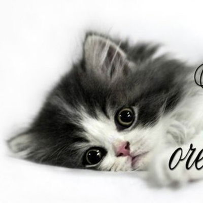 Сергей Бригалда