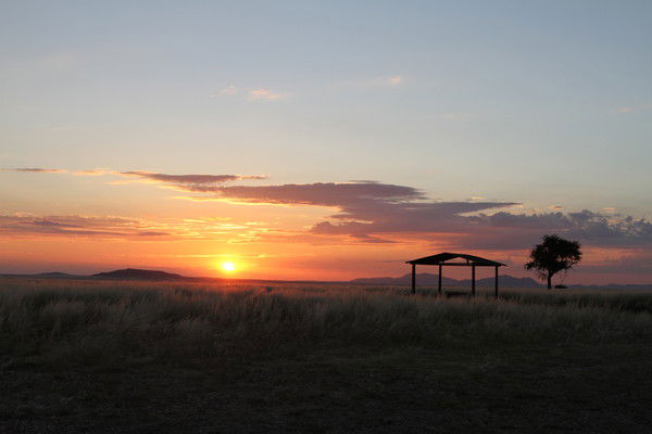 Ирина Талызина