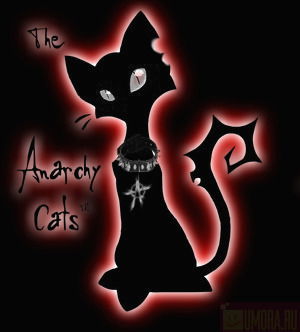 Наталья Толмачева