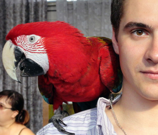 Петр Гвоздков