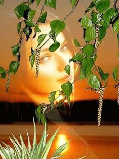 Ксения Михайлова