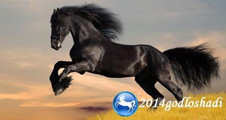 Дауiр Базаркул