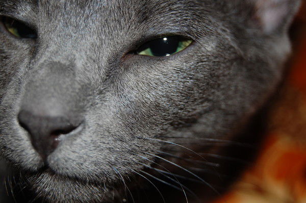 Яха Бурмистров