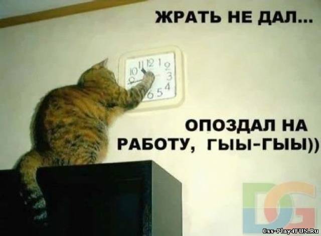 Николай Иванов