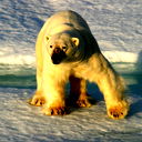 Сергей Олейник