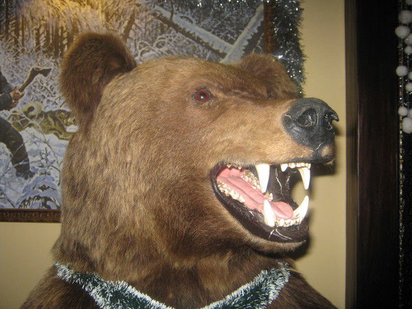 Владимир Владимирович