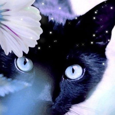 Александра Познахарева