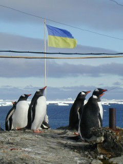 Илья Шелудько