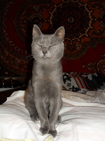 Леночка Бритенкова