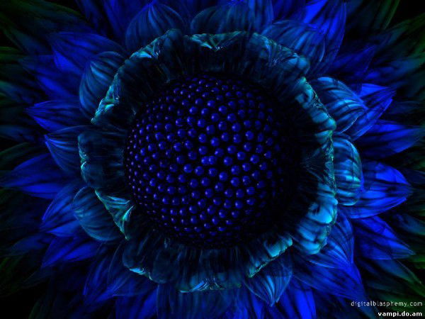 Юлия Колмогорова