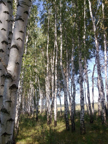 Людмила Баландина