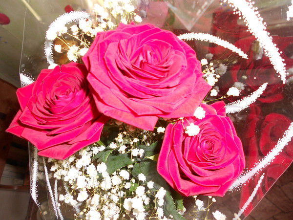 Наталья Торгашова(Носкова)