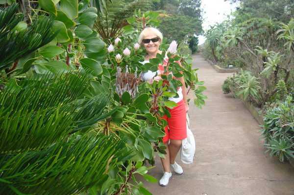 Любовь Цветкова