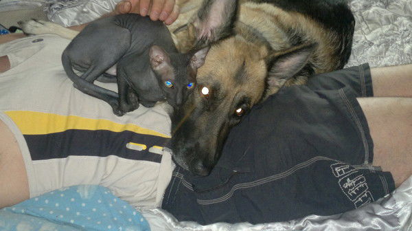 Равиль ***************