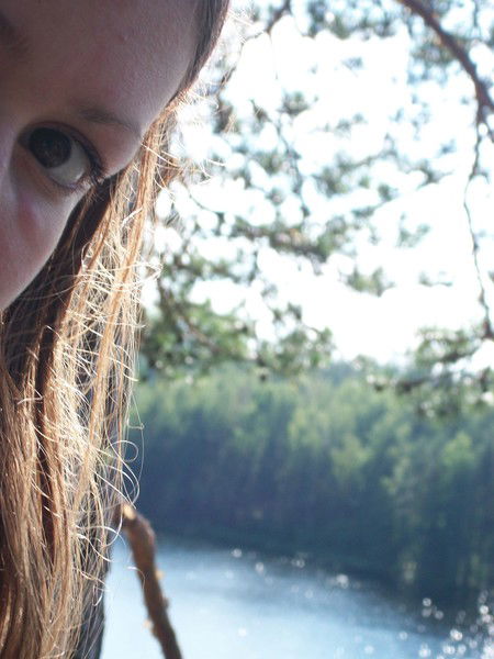 Музыка Ветра