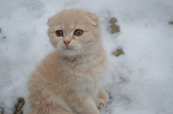 Настя Дузенко