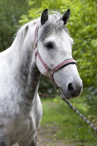 Катя Бубнова