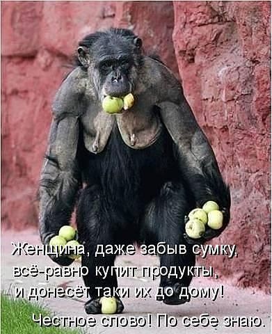 Наталья Мироненко