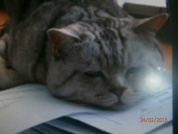 Аня Ермакова