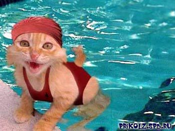 Шашерин Владимир