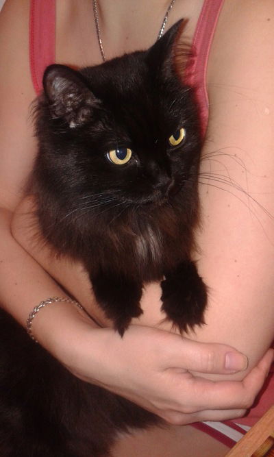 Наташа Еремина