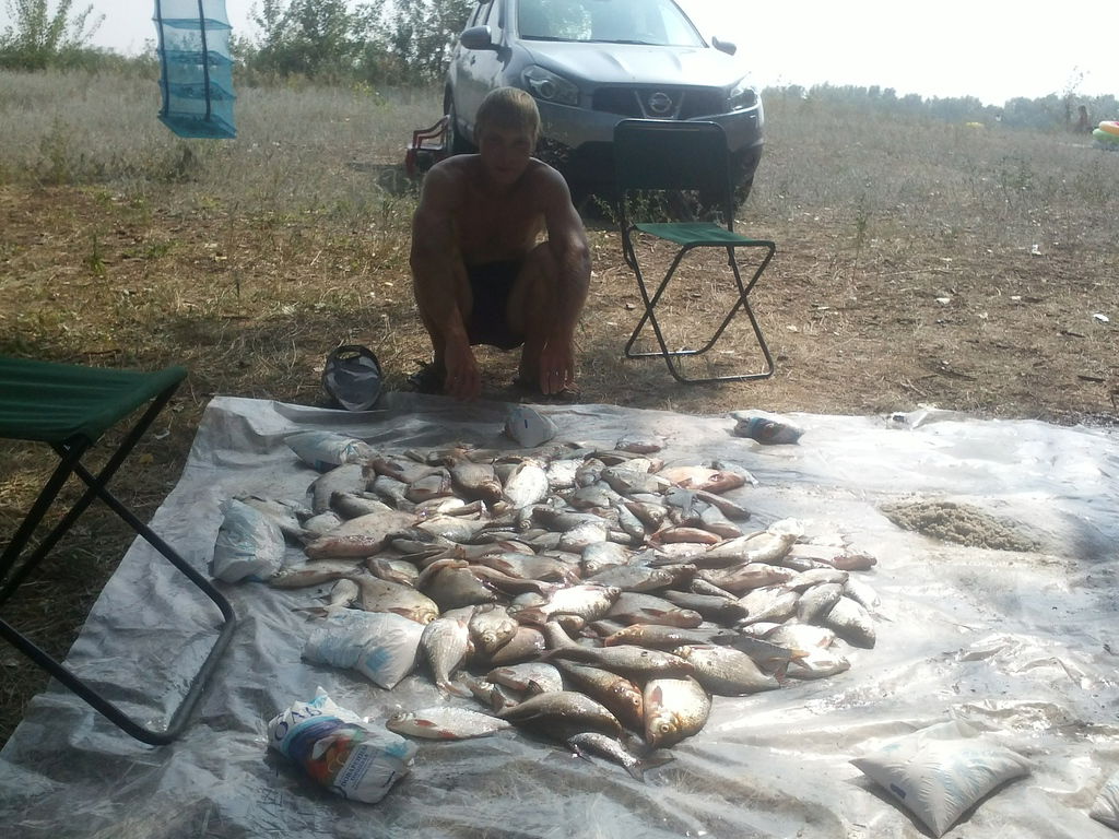 Санек Вашак