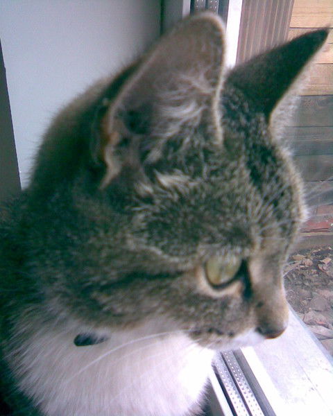 Ирина Маркина