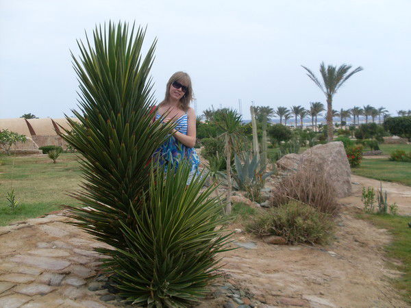 Екатерина Маштакова