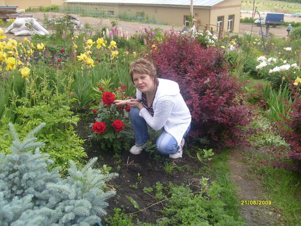 Елена Болгова