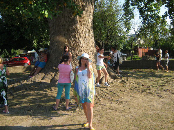 Наталья Гилева