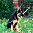 Илья Никитин