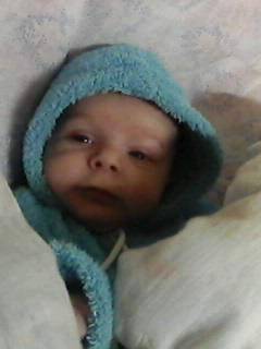 Виталий Лоханов