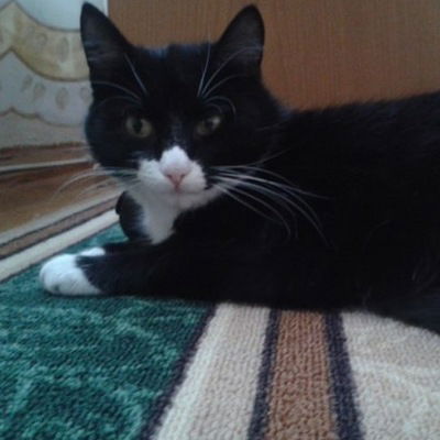 Никита Крупенко