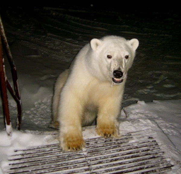 Ахметшин Марат