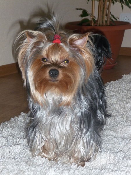 Настя Кадочникова