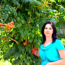 Елена Иванова