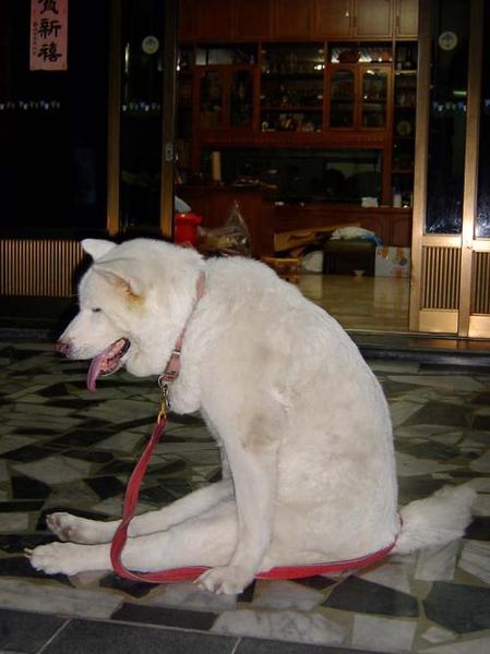 Татьяна Балова