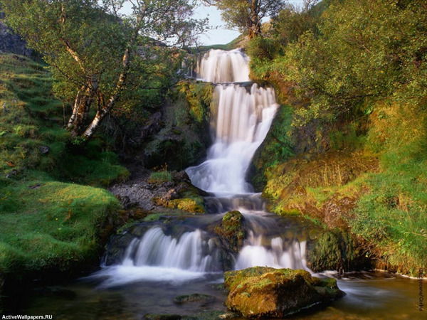 Иван Шендрик